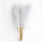Kunst Pampas Gras Set 6 Stuks – Decoratieve Droogbloemen voor Interieur en Styling