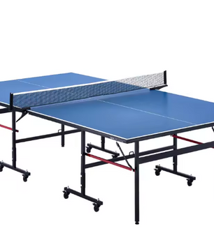 Tafeltennistafel Inklapbaar – Professionele Pingpong Tafel met Net voor Indoor Gebruik