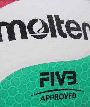 Volleybal Maat 5 – Premium PU Wedstrijdbal voor Indoor Training en Competitie