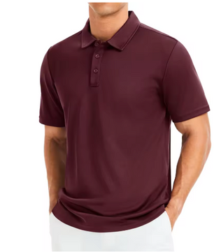 Heren Polo Shirt Quick Dry – Sport Polo met Kraag en Ademend Materiaal