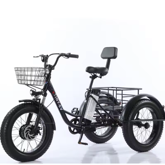 Elektrische Driewieler 20 Inch – 500W Fat Tire E-Bike met Accu