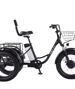 Elektrische Driewieler 20 Inch – 500W Fat Tire E-Bike met Accu