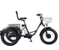 Elektrische Driewieler 20 Inch – 500W Fat Tire E-Bike met Accu