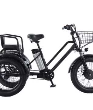 Elektrische Driewieler 20 Inch – 500W Fat Tire E-Bike met Accu