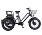Elektrische Driewieler 20 Inch – 500W Fat Tire E-Bike met Accu