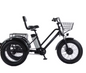 Elektrische Driewieler 20 Inch – 500W Fat Tire E-Bike met Accu
