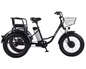 Elektrische Driewieler 20 Inch – 500W Fat Tire E-Bike met Accu