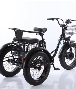 Elektrische Driewieler 20 Inch – 500W Fat Tire E-Bike met Accu