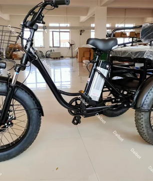 Elektrische Driewieler 20 Inch – 500W Fat Tire E-Bike met Accu