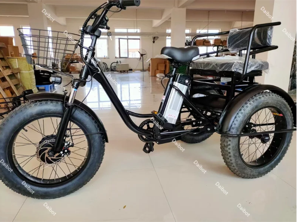 Elektrische Driewieler 20 Inch – 500W Fat Tire E-Bike met Accu
