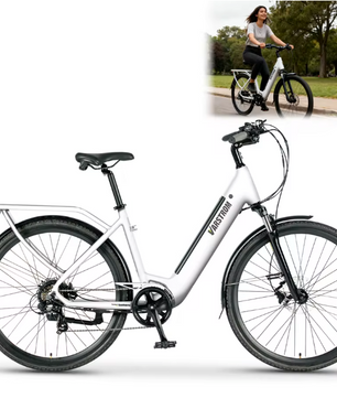 Elektrische Fiets 28 Inch – 250W E-Bike met 120 km Actieradius en LCD Display