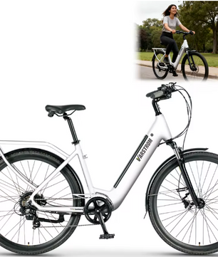 Elektrische Fiets 28 Inch – 250W E-Bike met 120 km Actieradius en LCD Display