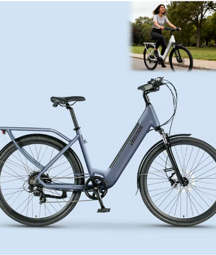 Elektrische Fiets 28 Inch – 250W E-Bike met 120 km Actieradius en LCD Display