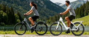 Elektrische Fiets 28 Inch – 250W E-Bike met 120 km Actieradius en LCD Display
