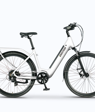 Elektrische Fiets 28 Inch – 250W E-Bike met 120 km Actieradius en LCD Display