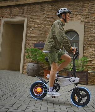 Opvouwbare Elektrische Fiets 14 Inch – 250W E-Bike met LCD en Accu