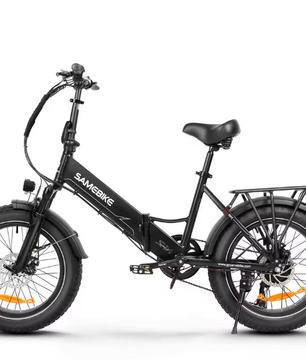 Elektrische Fatbike 20 Inch – 250W E-Bike met 48V Accu en Brede Banden