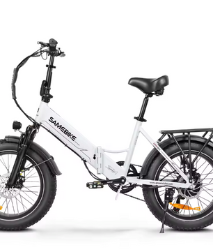 Elektrische Fatbike 20 Inch – 250W E-Bike met 48V Accu en Brede Banden