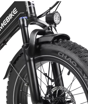 Elektrische Fatbike 20 Inch – 250W E-Bike met 48V Accu en Brede Banden
