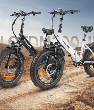 Elektrische Fatbike 20 Inch – 250W E-Bike met 48V Accu en Brede Banden