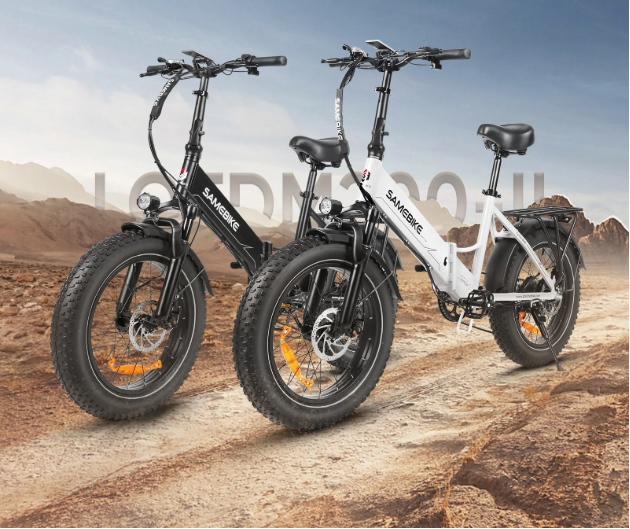 Elektrische Fatbike 20 Inch – 250W E-Bike met 48V Accu en Brede Banden