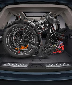 Elektrische Fatbike 20 Inch – 250W E-Bike met 48V Accu en Brede Banden
