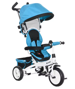Kinderdriewieler Meegroeifiets – Met Duwstang, Zonnescherm en Veiligheidsgordel