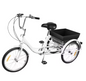 Volwassen Driewieler 20 Inch – 8 Versnellingen met Mand en Verstelbare Zitting
