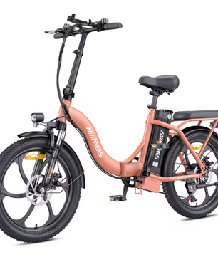 Opvouwbare Elektrische Fiets 20 Inch – 250W E-Bike met Fat Tires en 100 km Actieradius