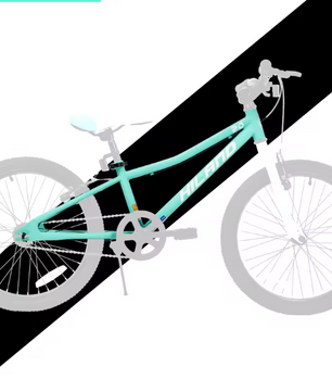 Kinder Mountainbike 20 Inch – Stevige MTB met Dubbele Handremmen en Standaard