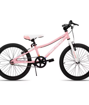 Kinder Mountainbike 20 Inch – Stevige MTB met Dubbele Handremmen en Standaard
