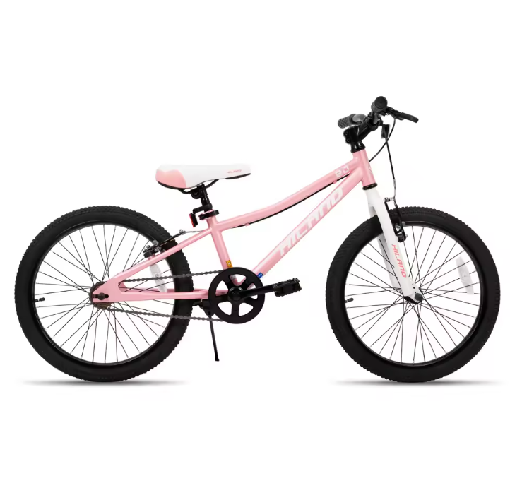 Kinder Mountainbike 20 Inch – Stevige MTB met Dubbele Handremmen en Standaard