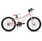 Kinder Mountainbike 20 Inch – Stevige MTB met Dubbele Handremmen en Standaard