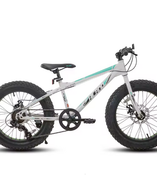 Kinder Fatbike 20 Inch – Mountainbike met Brede Banden, 7 Versnellingen en Schijfremmen