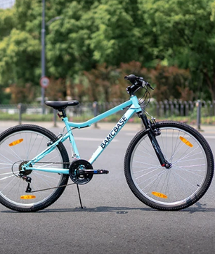 Dames Mountainbike 26 Inch – 18 Versnellingen met Vering en V-Brakes