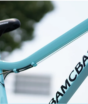 Dames Mountainbike 26 Inch – 18 Versnellingen met Vering en V-Brakes