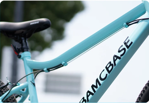 Dames Mountainbike 26 Inch – 18 Versnellingen met Vering en V-Brakes
