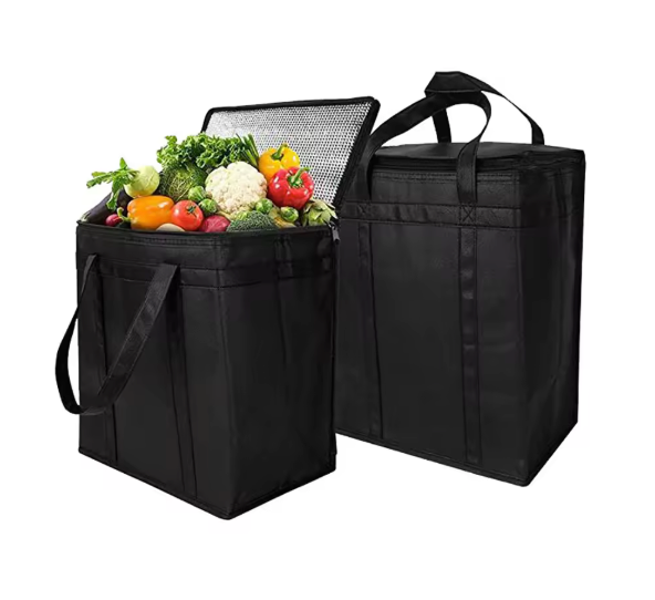 Grote Picknick Koeltas – Geïsoleerde Lunch Tas voor Strand, Reizen en Outdoor