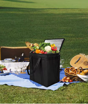 Grote Picknick Koeltas – Geïsoleerde Lunch Tas voor Strand, Reizen en Outdoor