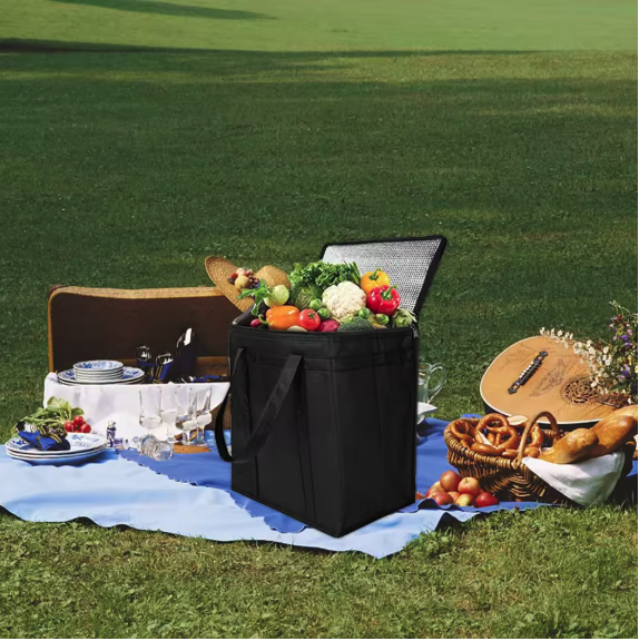 Grote Picknick Koeltas – Geïsoleerde Lunch Tas voor Strand, Reizen en Outdoor