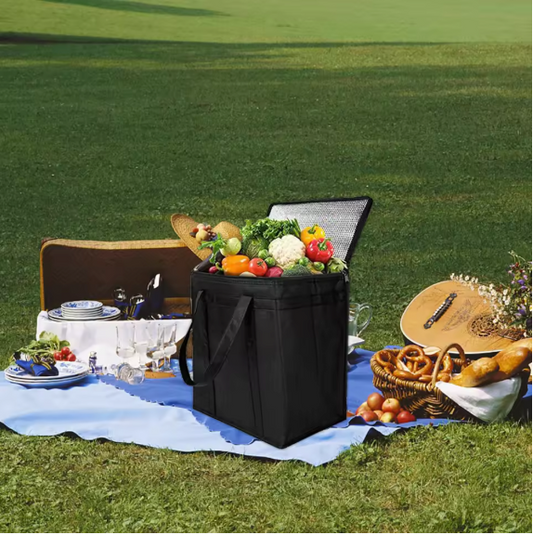 Grote Picknick Koeltas – Geïsoleerde Lunch Tas voor Strand, Reizen en Outdoor