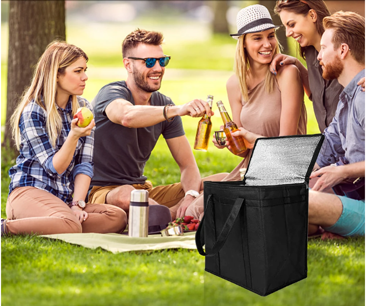 Grote Picknick Koeltas – Geïsoleerde Lunch Tas voor Strand, Reizen en Outdoor