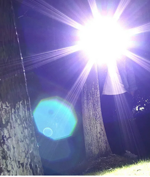 Krachtige LED Zaklamp – Oplaadbare Tactical Torch met Zoom en Waterbestendig Design