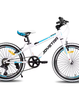 Kinder Mountainbike 20/24 Inch – Fiets voor Jongens en Meisjes met Versnellingen