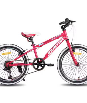 Kinder Mountainbike 20/24 Inch – Fiets voor Jongens en Meisjes met Versnellingen