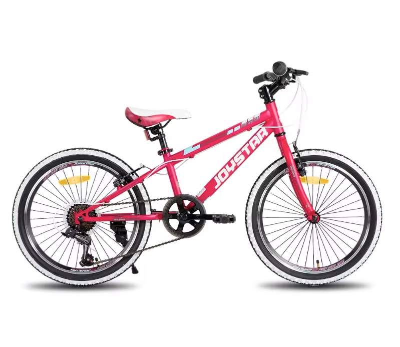 Kinder Mountainbike 20/24 Inch – Fiets voor Jongens en Meisjes met Versnellingen