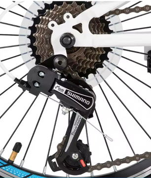 Kinder Mountainbike 20/24 Inch – Fiets voor Jongens en Meisjes met Versnellingen