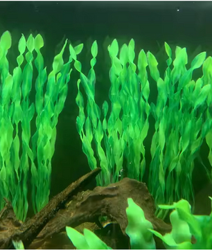 Set Kunstmatige Aquariumplanten – Plastic Zeewier en Watergras Decoratie (5 of 10 Stuks)