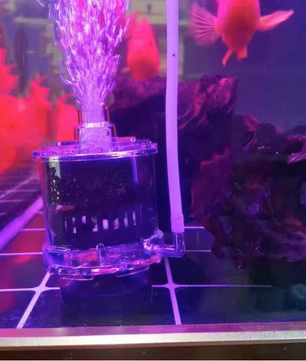 Biochemisch Sponsfilter Aquarium – Luchtgedreven Filter voor Garnalen en Vijver