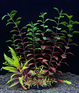 Kunstmatige Aquariumplant – Plastic Onderwaterplant Decoratie voor Aquarium